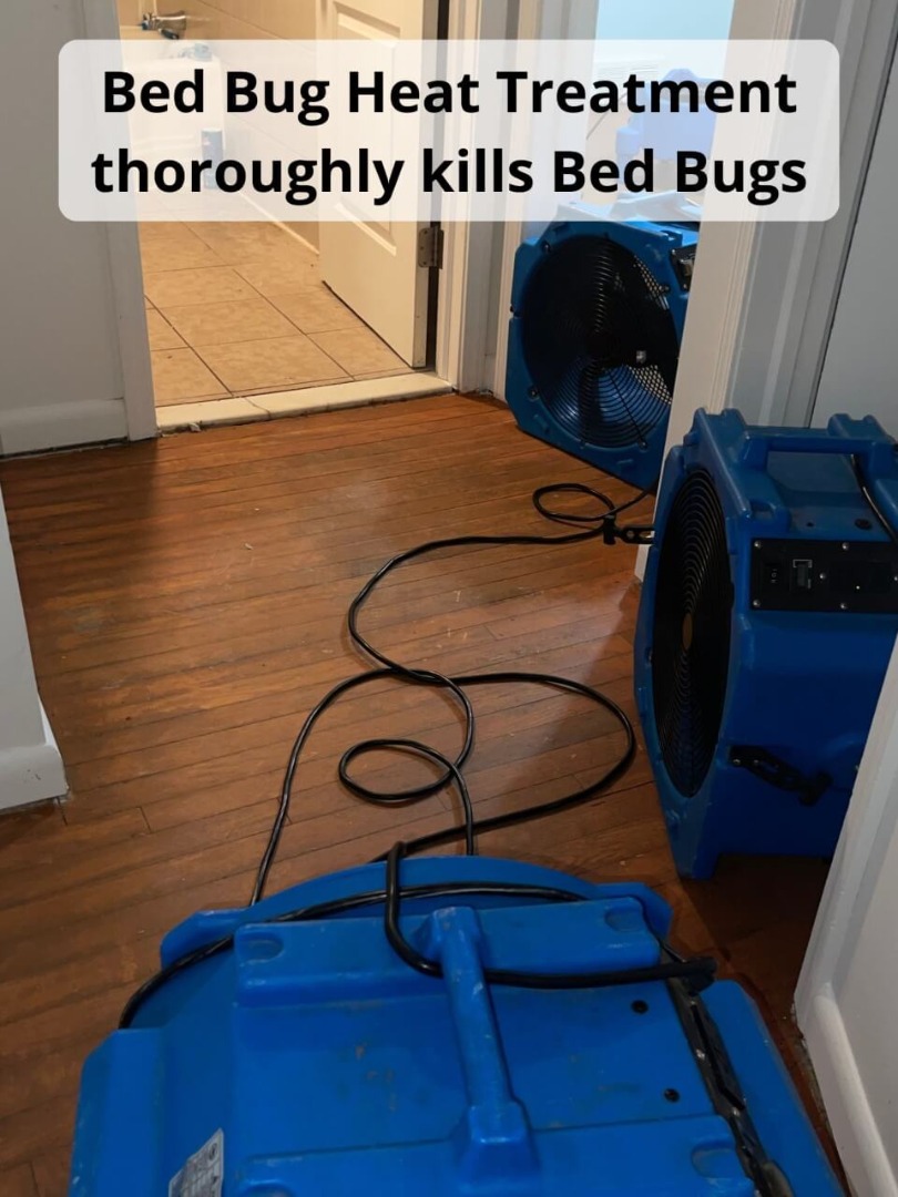 Mt Juliet Bed Bugs Heat Treatment